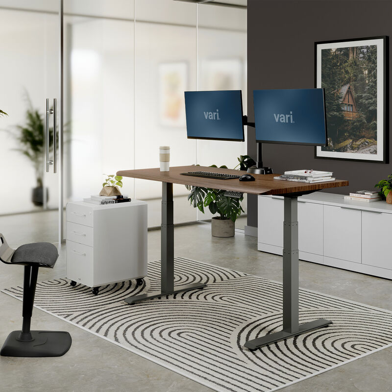 Walnut electric standing desk with gray frame raised to standing height in a bright glass-walled office, with dual monitors, keyboard, mouse, a white mobile filing cabinet, a black active stool and a striped rug. image number null